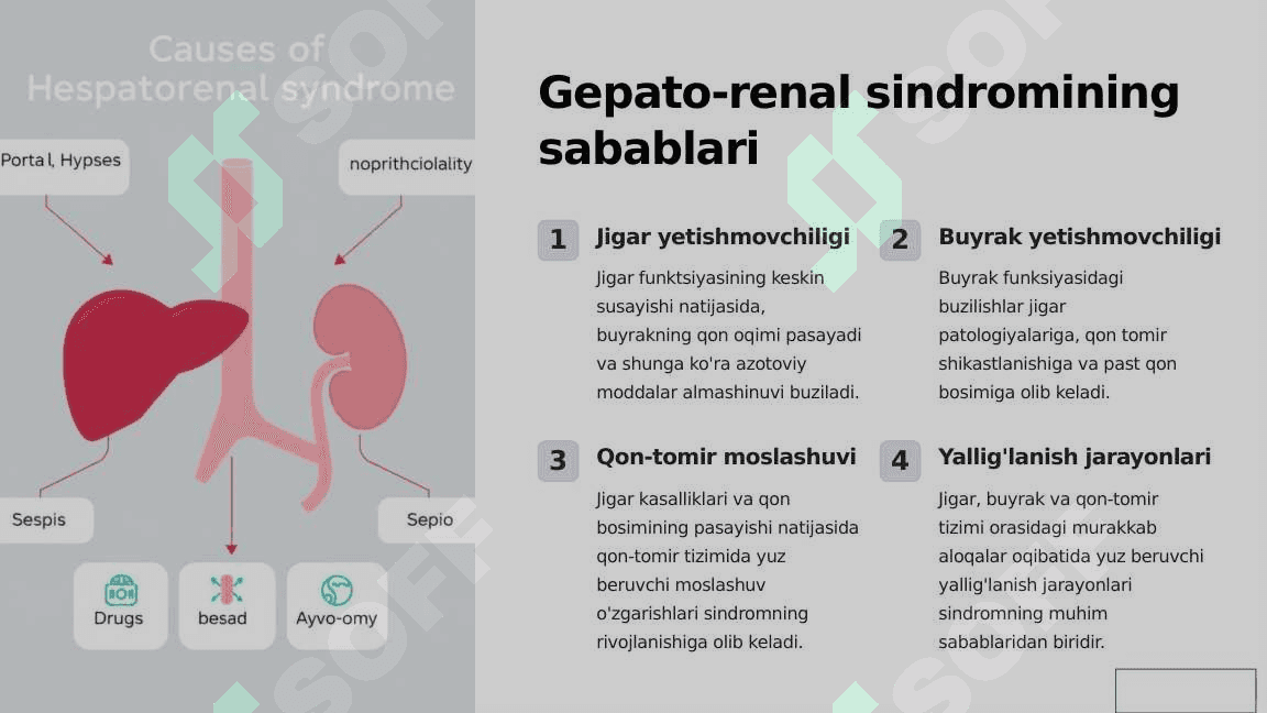 Gepato-renal sindromi 6