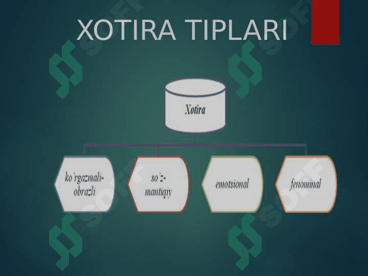 KASBIY FAOLIYATDA  XOTIRA,  XAYOL VA TAFAKKURNING IJTIMOIY MOHIYATI. 5