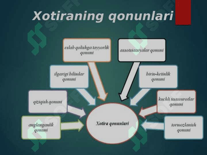 KASBIY FAOLIYATDA  XOTIRA,  XAYOL VA TAFAKKURNING IJTIMOIY MOHIYATI. 8