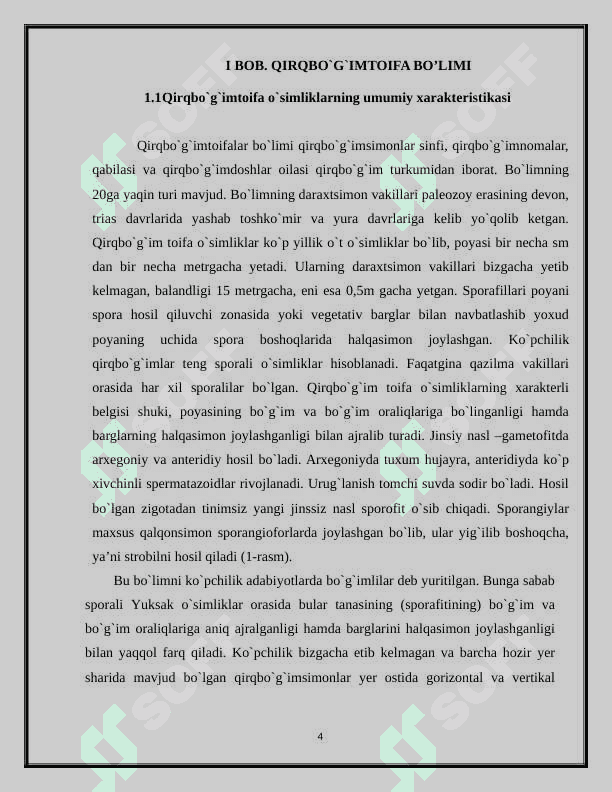 O’t o’simliklarning umumiy xarakteristikasi 4