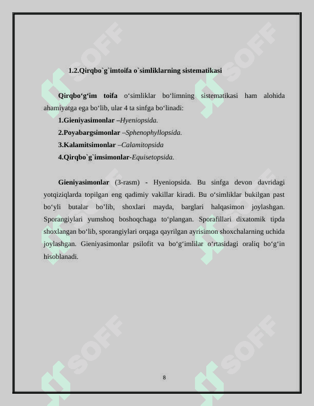 O’t o’simliklarning umumiy xarakteristikasi 8