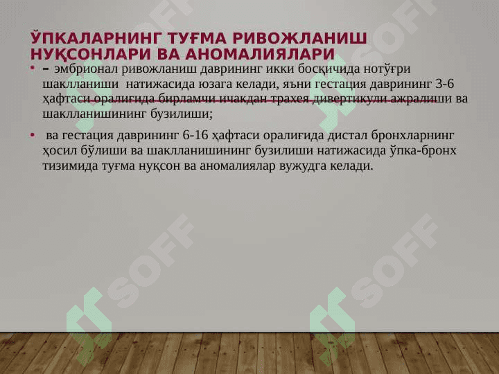 Ўпкаларнинг туғма ривожланиш нуқсонлари ва аномалиялари- O'pkani tug'ma rivojlanish nuqsonlari va anomaniyalari 3