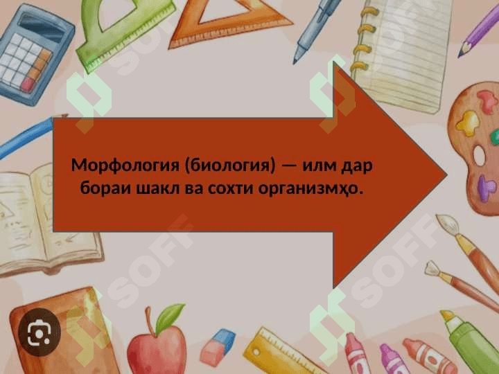 Морфология дар илми забоншиносӣ 3