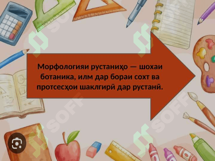 Морфология дар илми забоншиносӣ 7