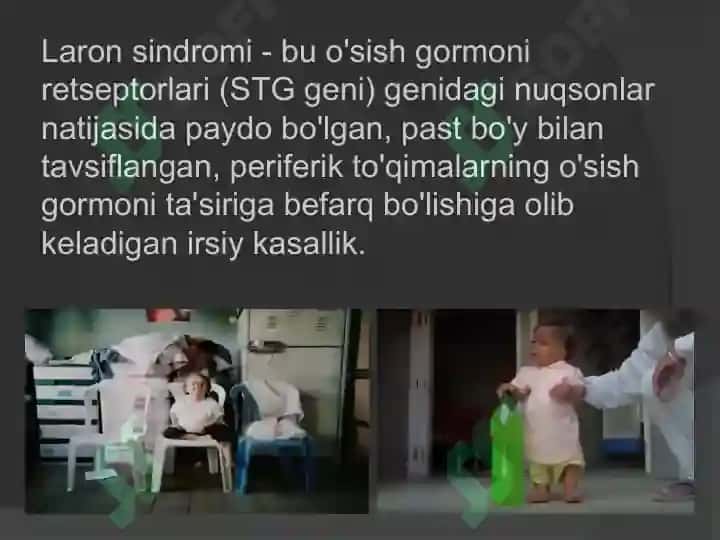 Laron kasaligi 2