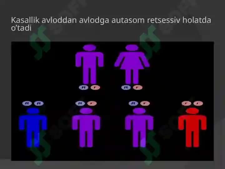 Laron kasaligi 4