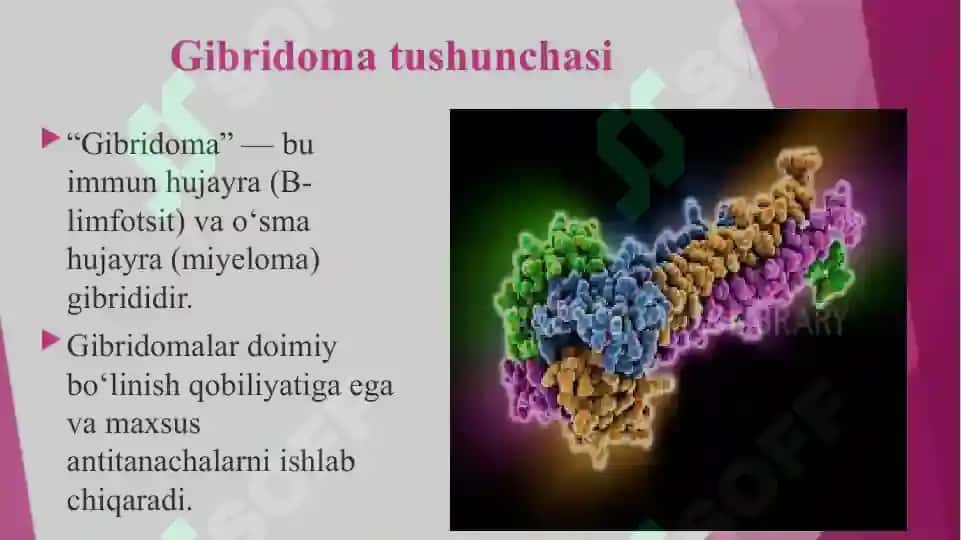 gibridomalar texnologiyasi 3