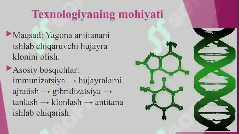 gibridomalar texnologiyasi 5