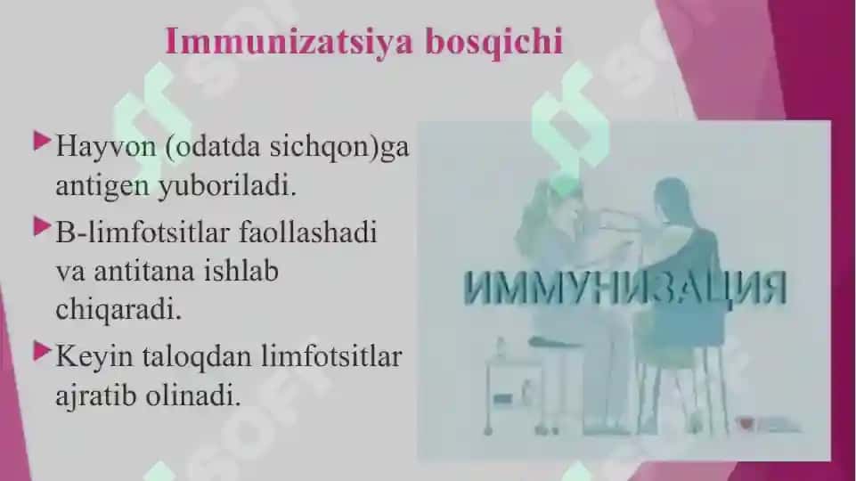 gibridomalar texnologiyasi 6