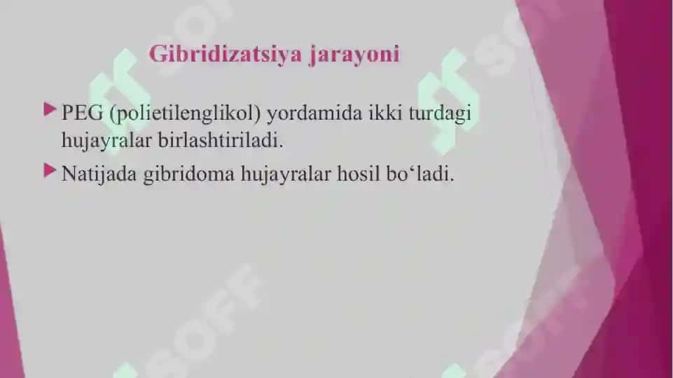 gibridomalar texnologiyasi 8