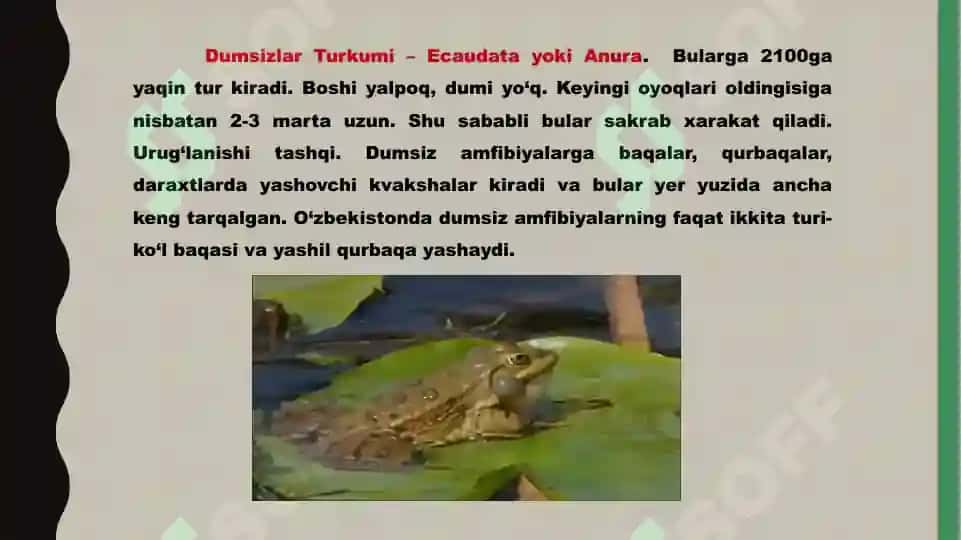Suvda ham quruqlikda yashovchilar quruqlikka chiqish sabablari va moslanish xususiyatlari 6