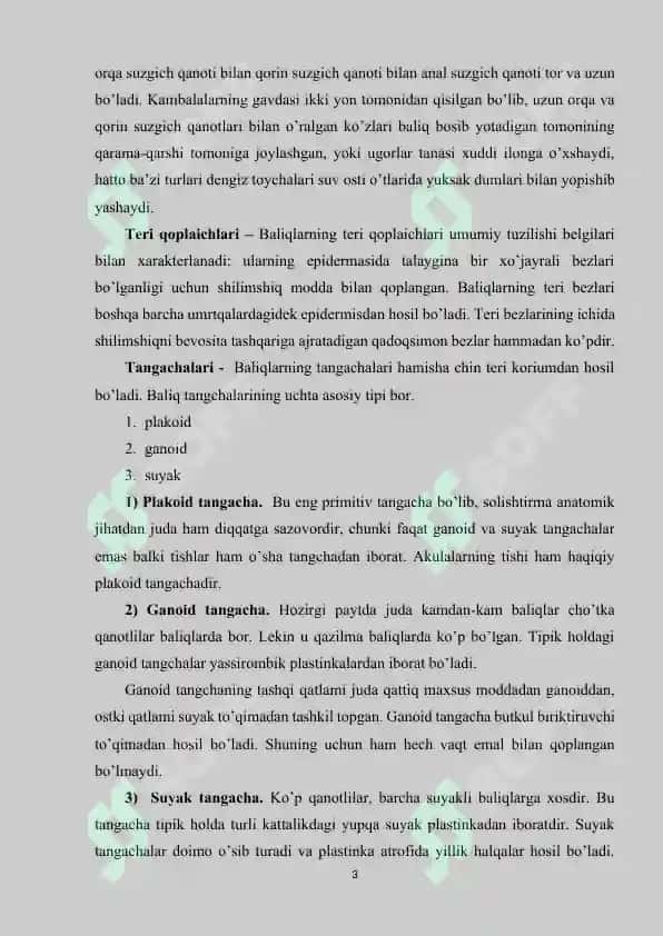 Suyakli baliqlar sinfi 3