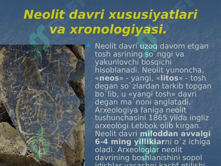 O`rta Osiyoda Neolit davri 24 2