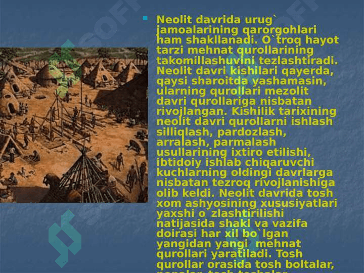 O`rta Osiyoda Neolit davri 24 6