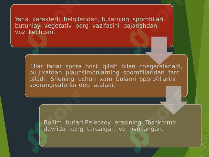 QIRQBO’G’IMTOIFA O’SIMLIKLAR 3