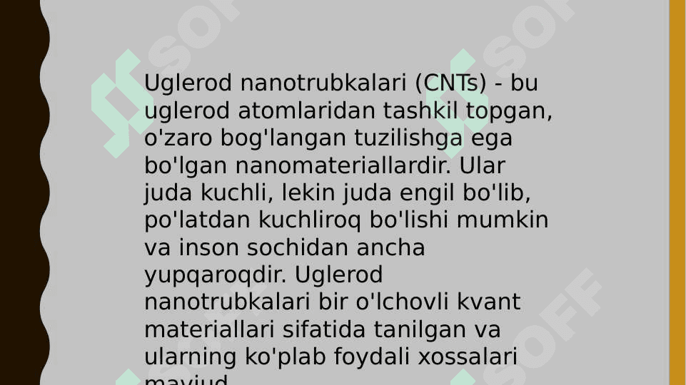 uglerod nanotrubkalari va boshqalar 2