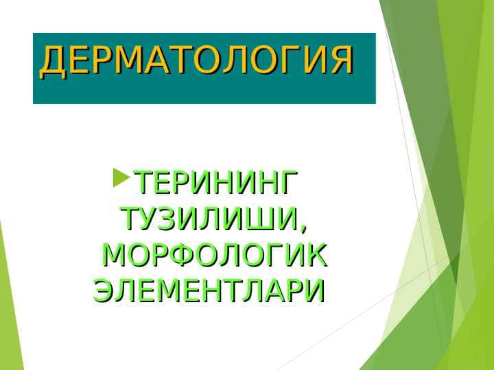 терининг тузилиши,элементлари 1
