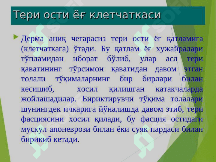 терининг тузилиши,элементлари 7
