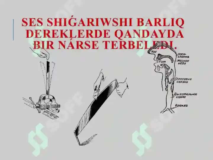 Ses derekleri hám onı qabıllaǵıshlar 3