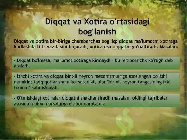 Diqqat va xotira 8