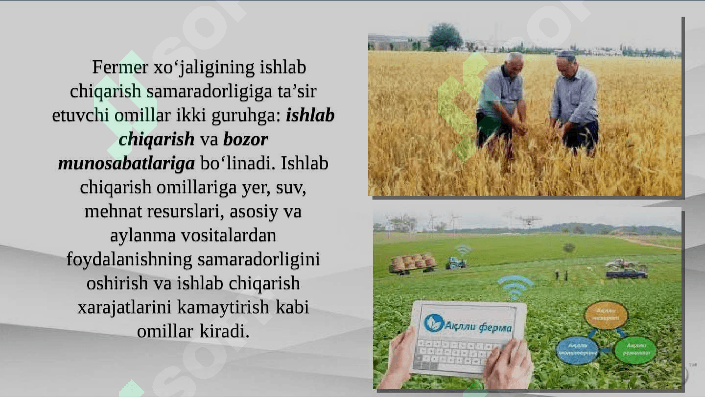 Fermer xo'jaliklarida marketing va menejmentdan samarali foydalanish yo'llari 3