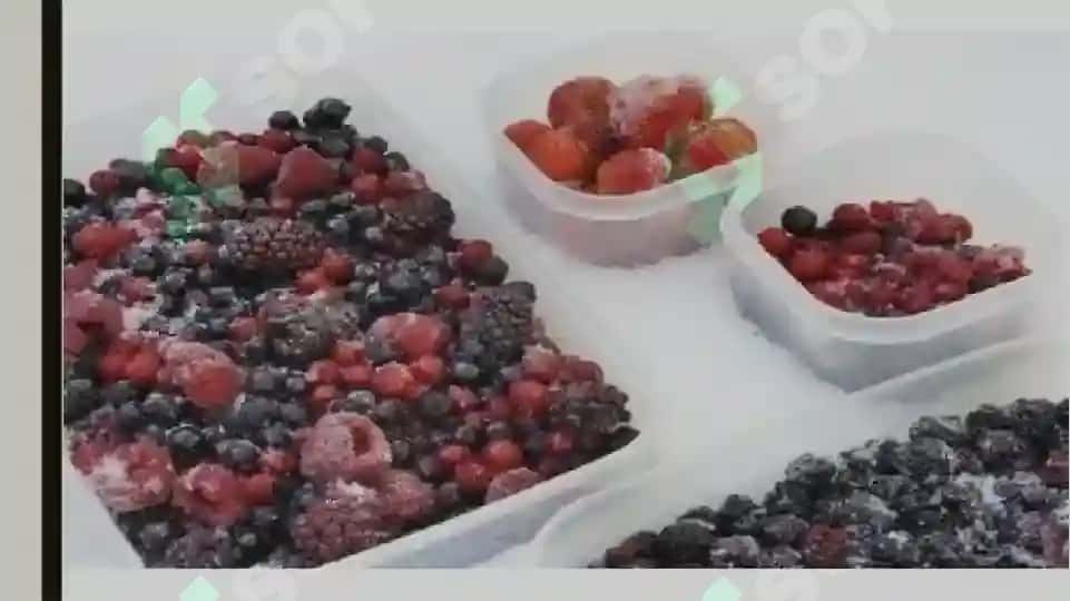 Sabzavot, mevalar va boshqa qishloq xo’jaligi mahsulotlarini qayta ishlash texnologiyalari 8