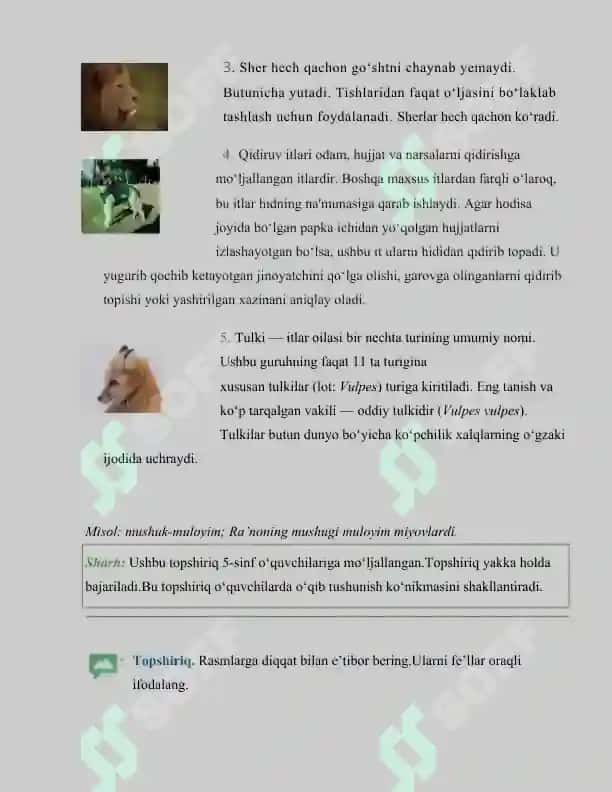 fonetika - imlo, fonetika - talaffuz, leksikologiya, mustaqil so'zlar, yordamchi so'zlar, oraliqdagi so'zlar 8