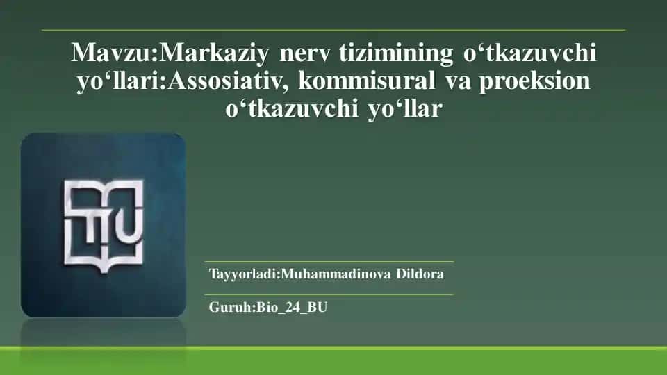 Markaziy nerv tizimining oʻtkazuvchi yoʻllari 1