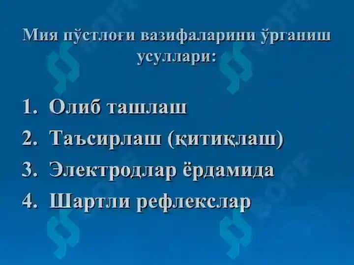Бош мия пўстлоғи 3