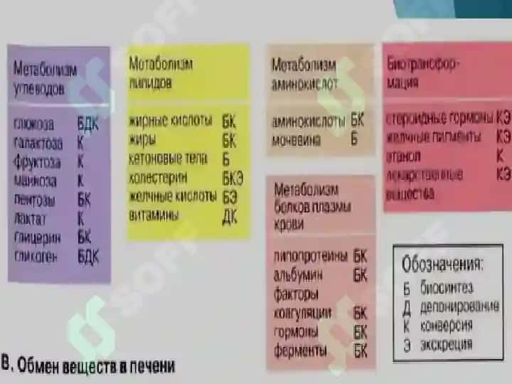 ЖИГАР БИОКИМЁСИ 6