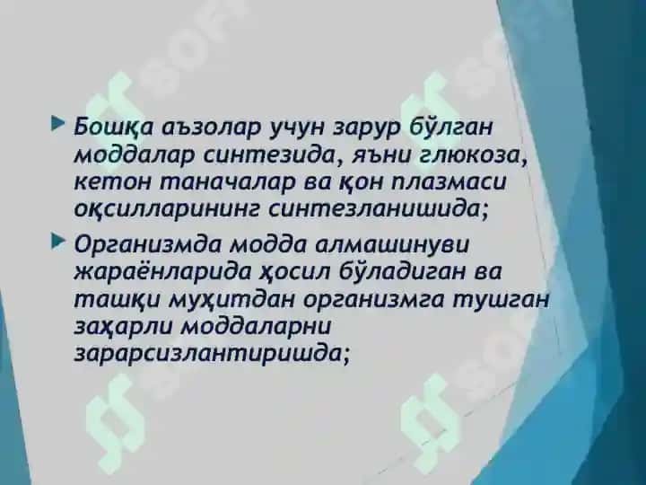 ЖИГАР БИОКИМЁСИ 8