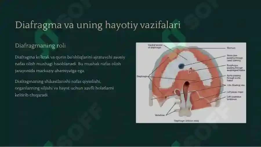 qon guruhlarini aniqlash 2