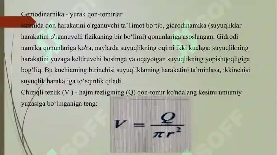Qon tomirlar 2