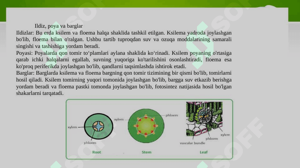 Suv harakatlanishining yuqorigi mexanizmi ppt 3