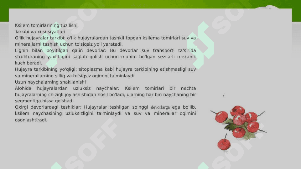 Suv harakatlanishining yuqorigi mexanizmi ppt 4