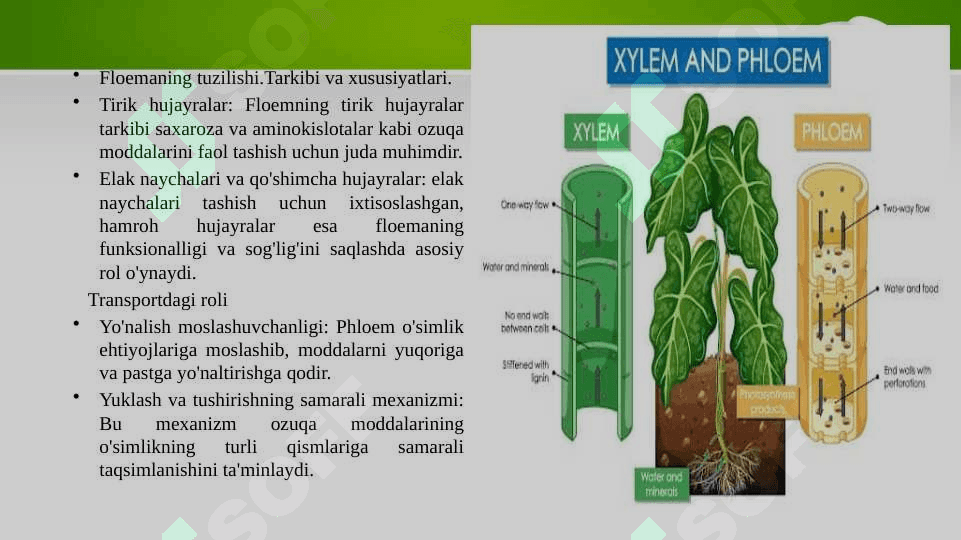 Suv harakatlanishining yuqorigi mexanizmi ppt 5