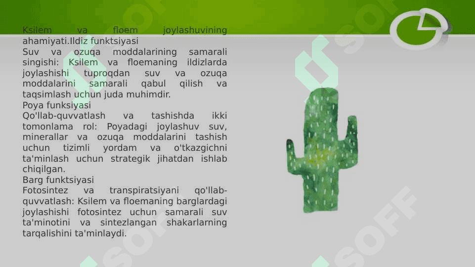 Suv harakatlanishining yuqorigi mexanizmi ppt 6