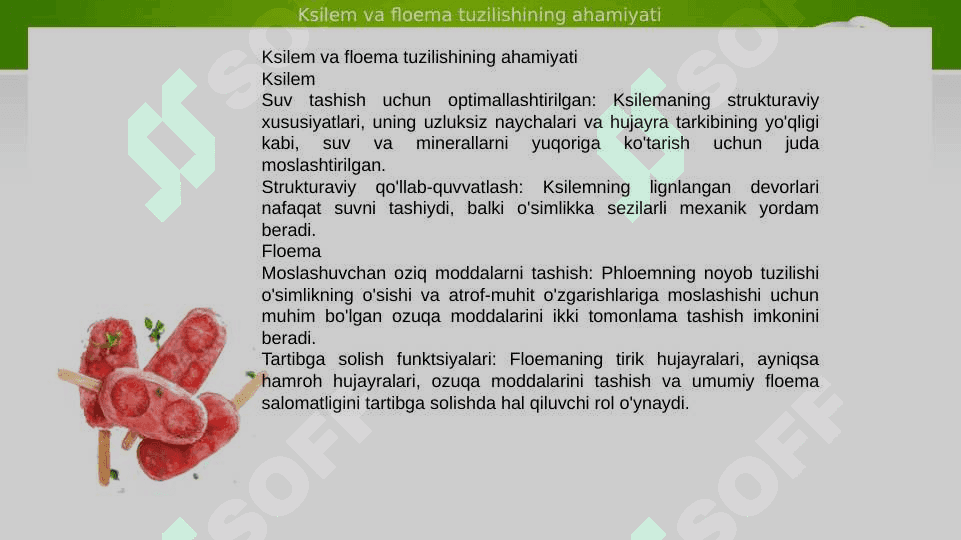 Suv harakatlanishining yuqorigi mexanizmi ppt 7