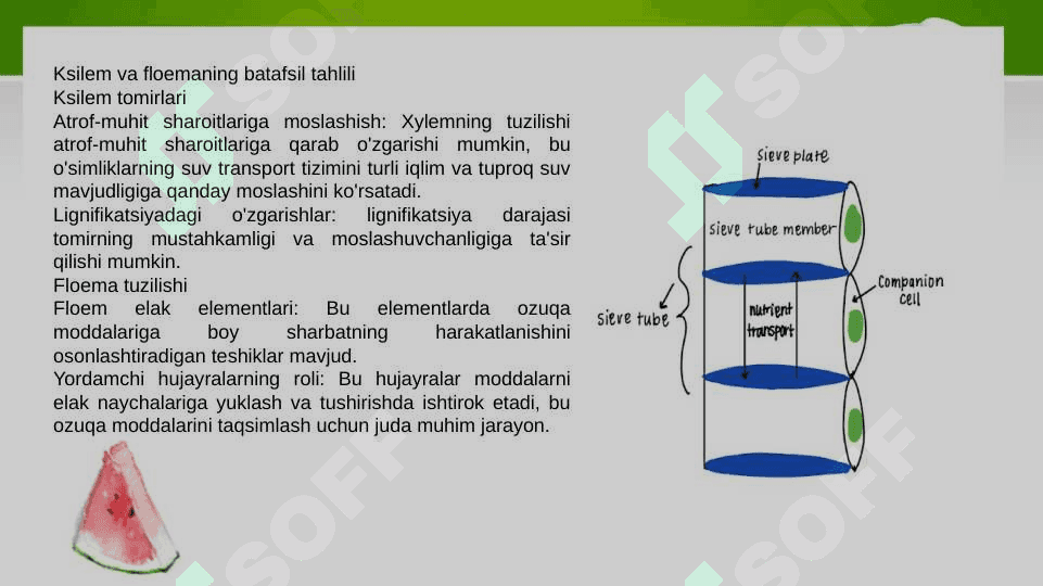 Suv harakatlanishining yuqorigi mexanizmi ppt 8