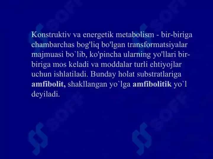 Bakteriyalar fiziologiyasi 7