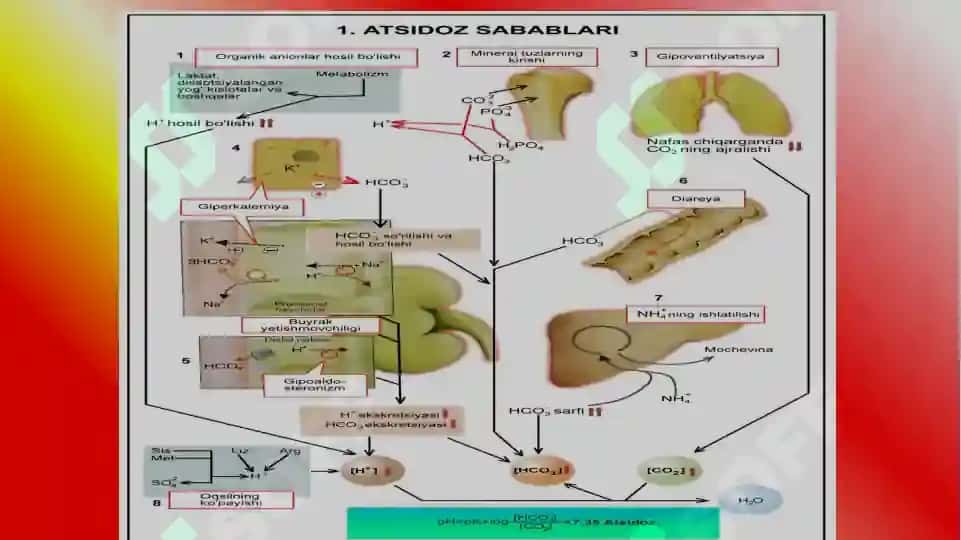 Kislota ishqor muvozanatining buzilishi 7