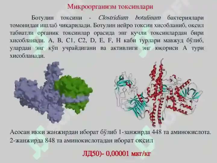 Заҳар ва токсинлар - Zaxar va toksinlar 5