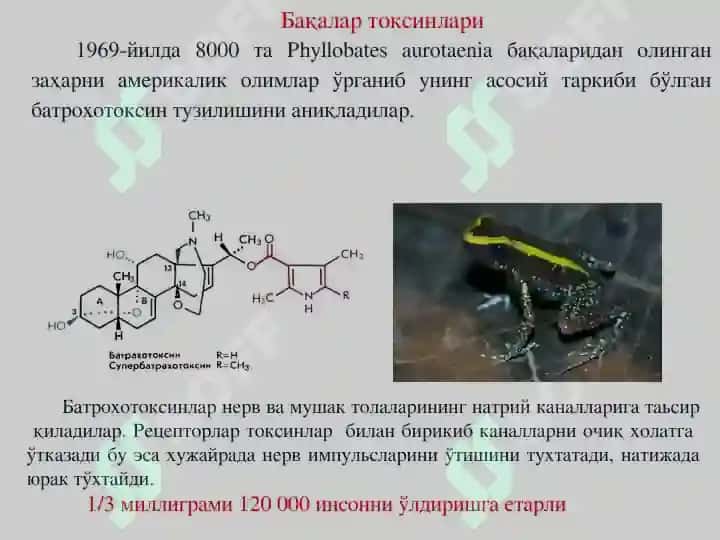 Заҳар ва токсинлар - Zaxar va toksinlar 6