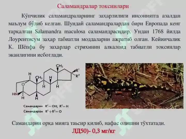 Заҳар ва токсинлар - Zaxar va toksinlar 8