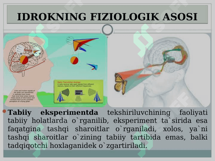IDROK (taqdimot) 5