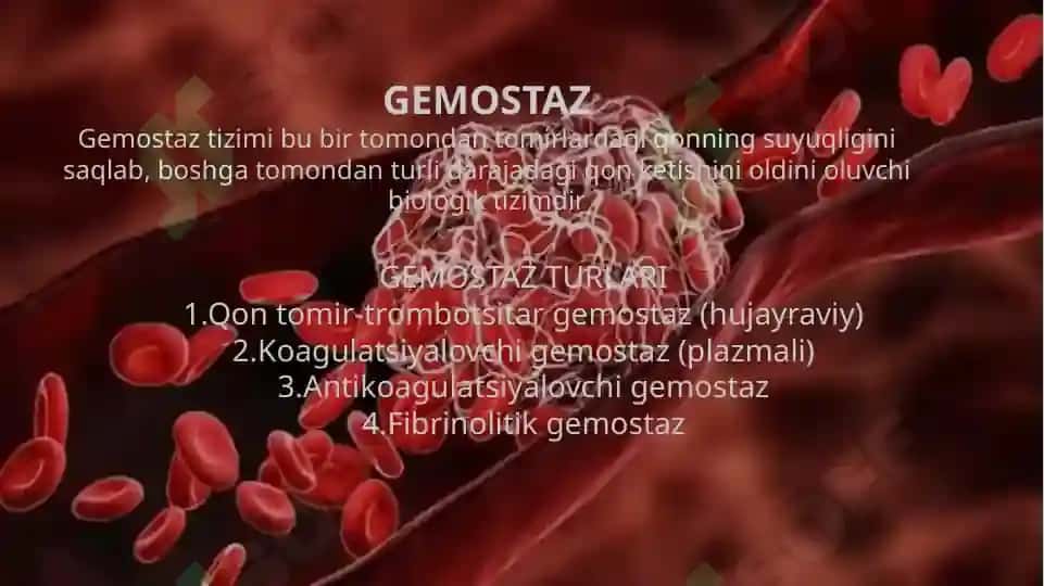 trombotsitlar 3