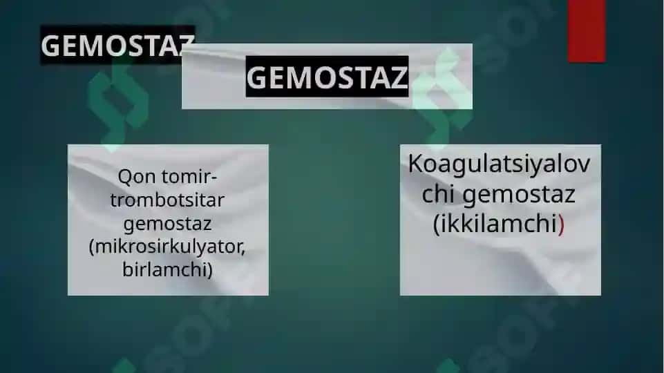 trombotsitlar 4