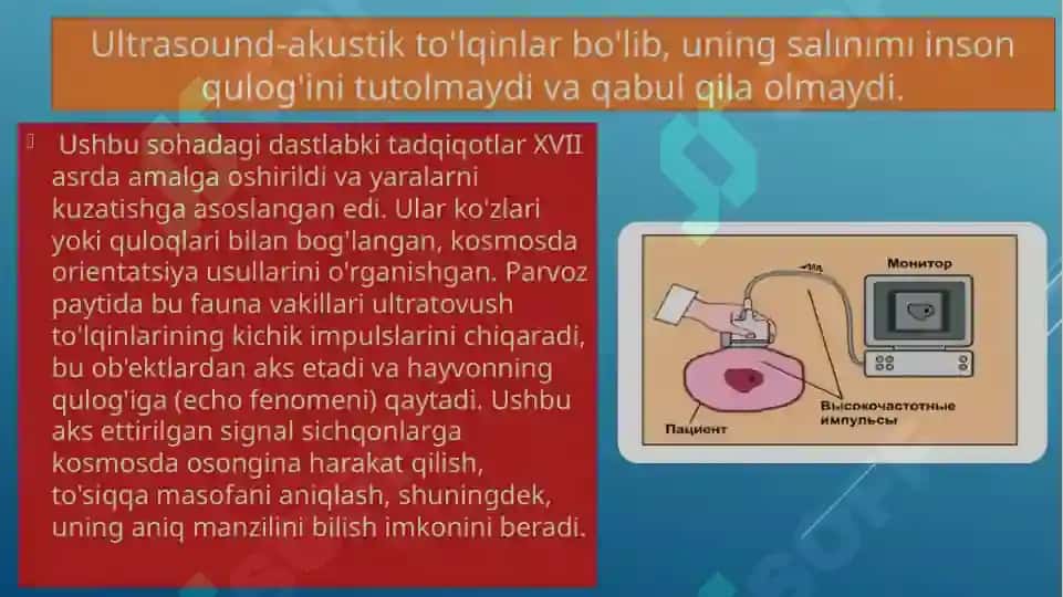 Ultra tovush tekshiruvi 2