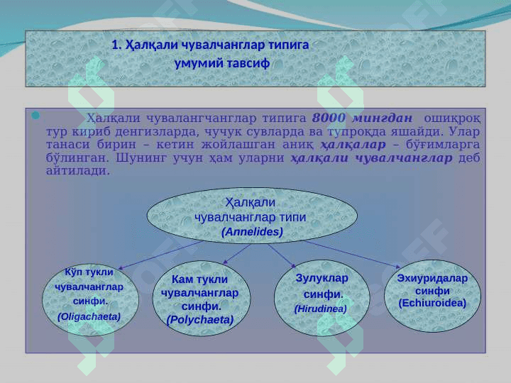 Xalqali chuvalchanglar 3