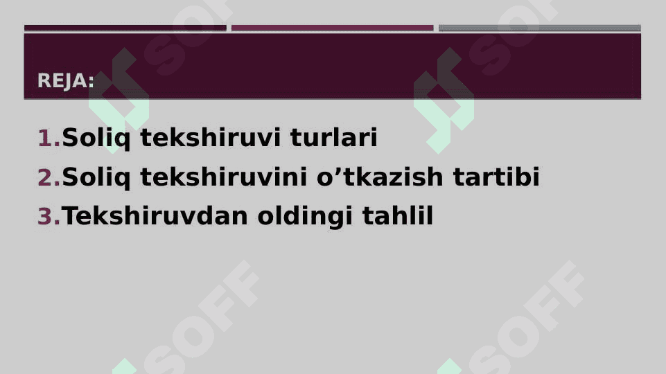 Soliq tekshiruvi 2